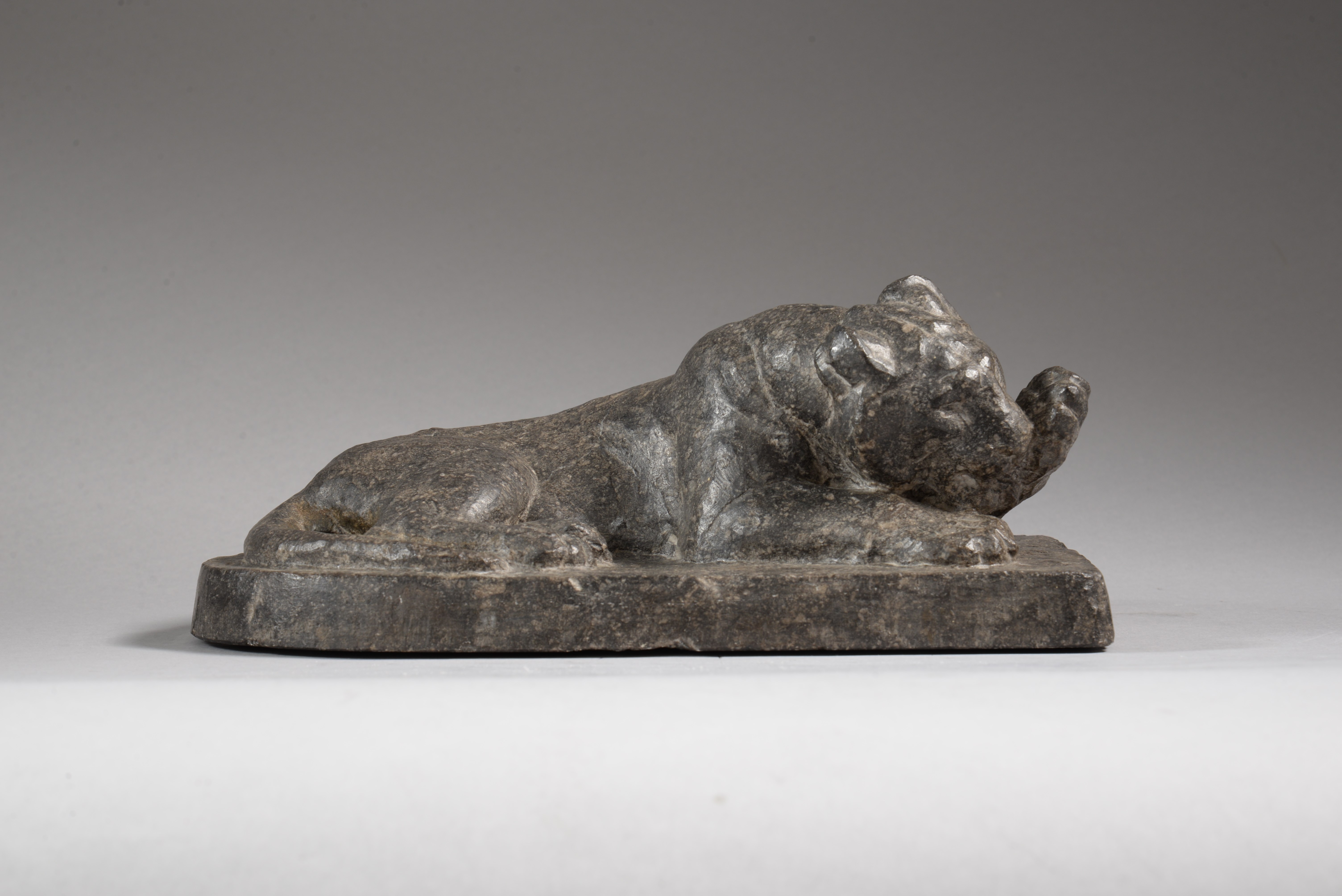 TIGRE COUCHÉ SE LÉCHANT LA PATTE